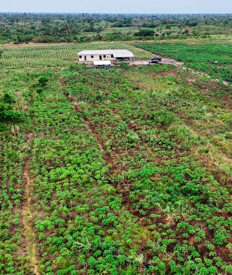 DJI_20250909140831_0054_D (1)-2